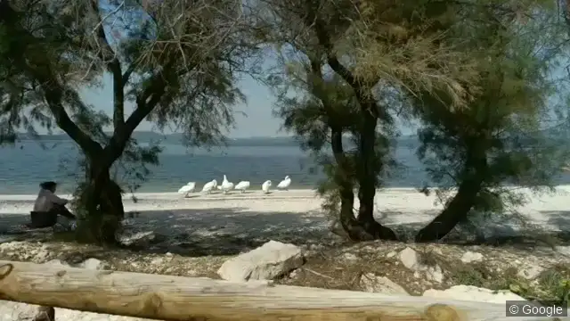 Photo 3 de Le Hot, lieu libertin à Martigues